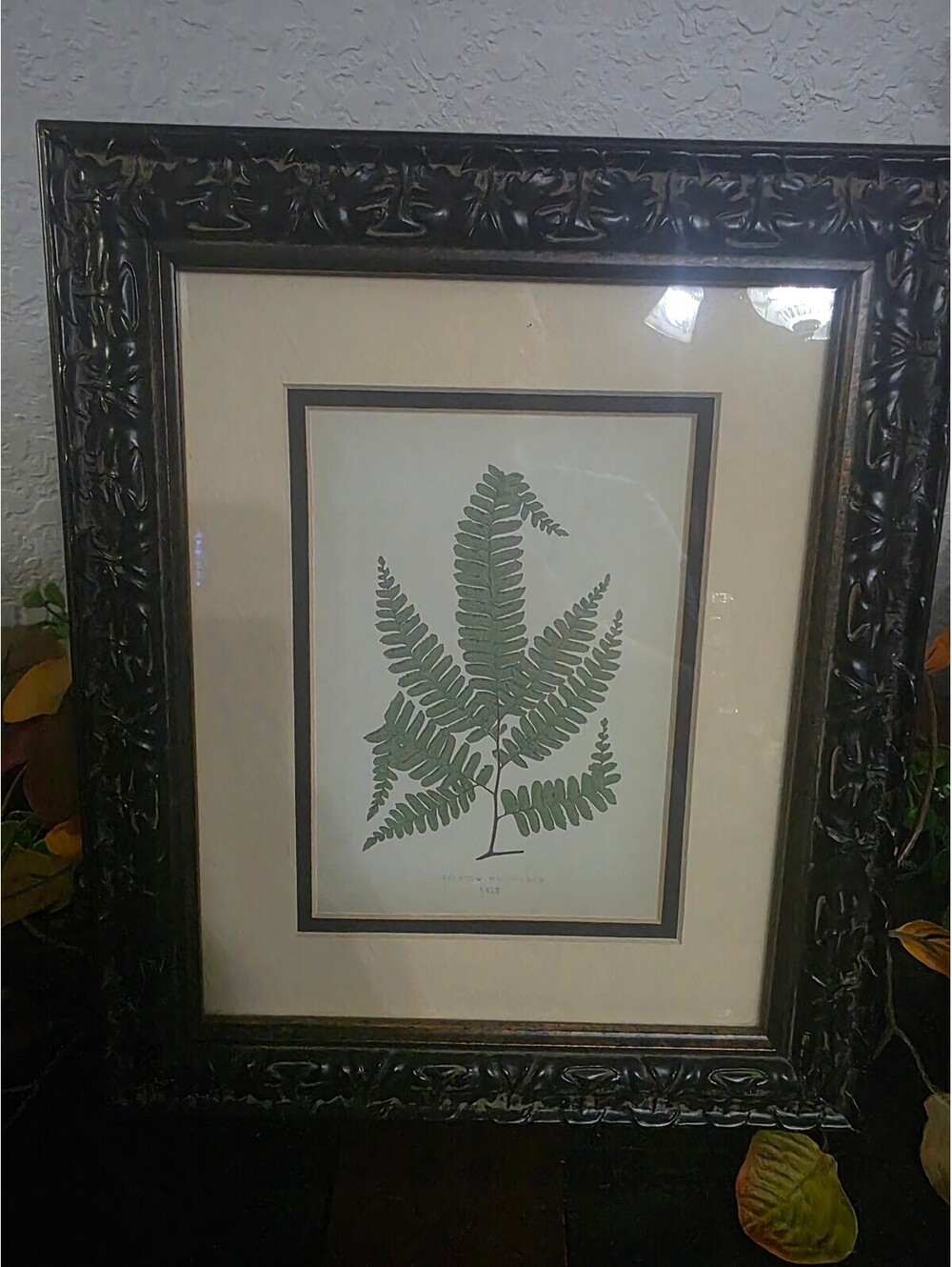 Vintage 2002 Target Fern Botanical Print Edward Joseph Lowe Ornate Framed Art